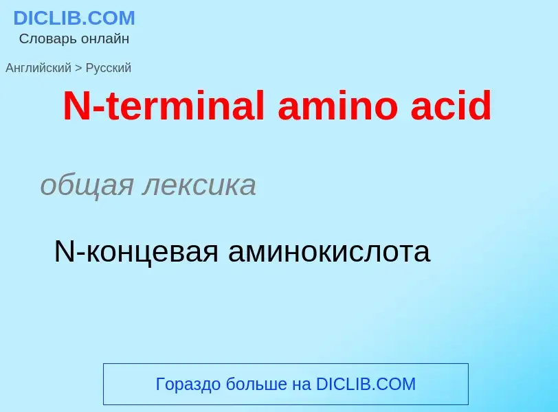 Vertaling van &#39N-terminal amino acid&#39 naar Russisch