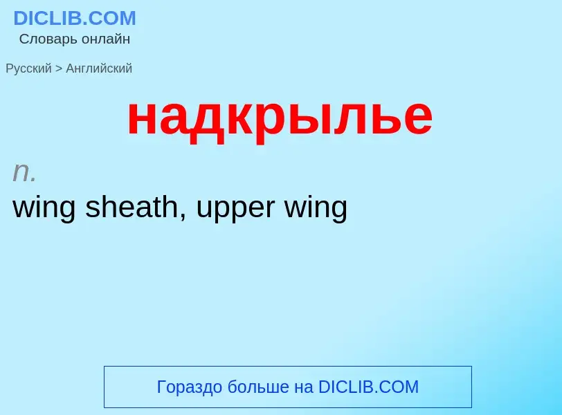 What is the English for надкрылье? Translation of &#39надкрылье&#39 to English