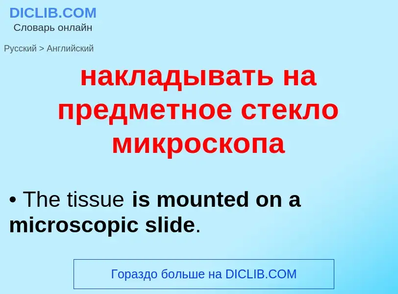 Μετάφραση του &#39накладывать на предметное стекло микроскопа&#39 σε Αγγλικά