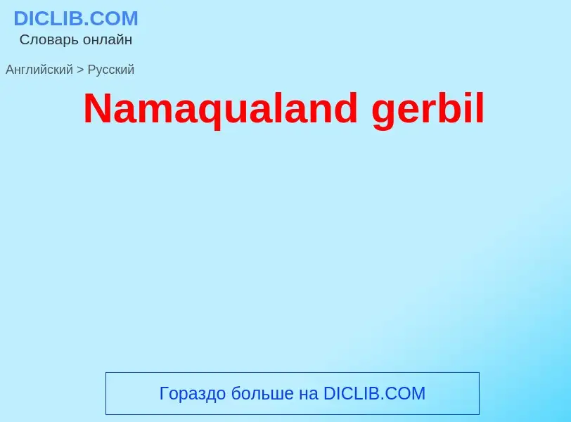 Μετάφραση του &#39Namaqualand gerbil&#39 σε Ρωσικά