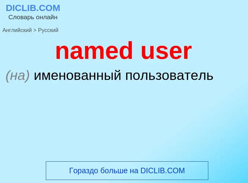 What is the Russian for named user? Translation of &#39named user&#39 to Russian