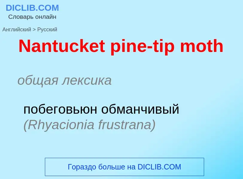 Vertaling van &#39Nantucket pine-tip moth&#39 naar Russisch