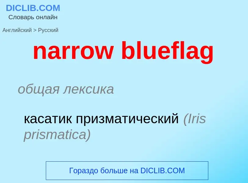 Übersetzung von &#39narrow blueflag&#39 in Russisch