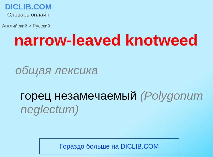 Μετάφραση του &#39narrow-leaved knotweed&#39 σε Ρωσικά