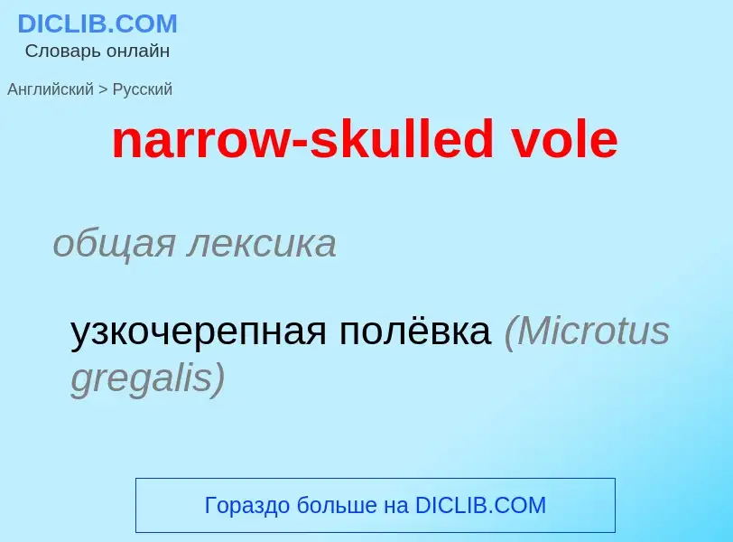 ¿Cómo se dice narrow-skulled vole en Ruso? Traducción de &#39narrow-skulled vole&#39 al Ruso