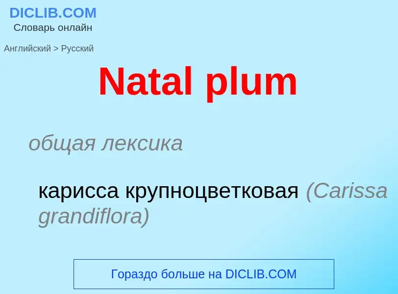 Μετάφραση του &#39Natal plum&#39 σε Ρωσικά