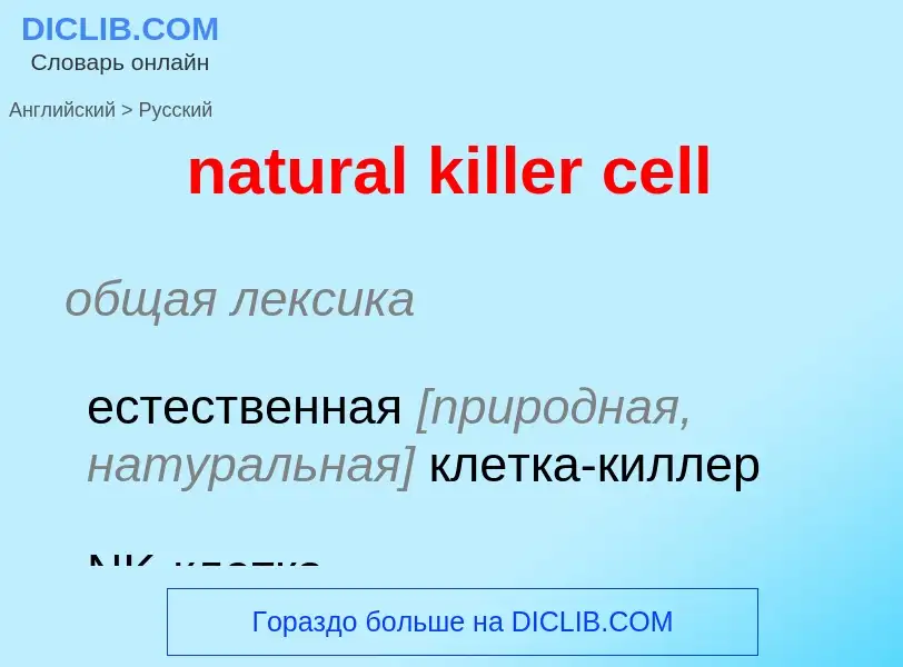 Как переводится natural killer cell на Русский язык