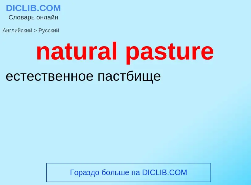 Как переводится natural pasture на Русский язык