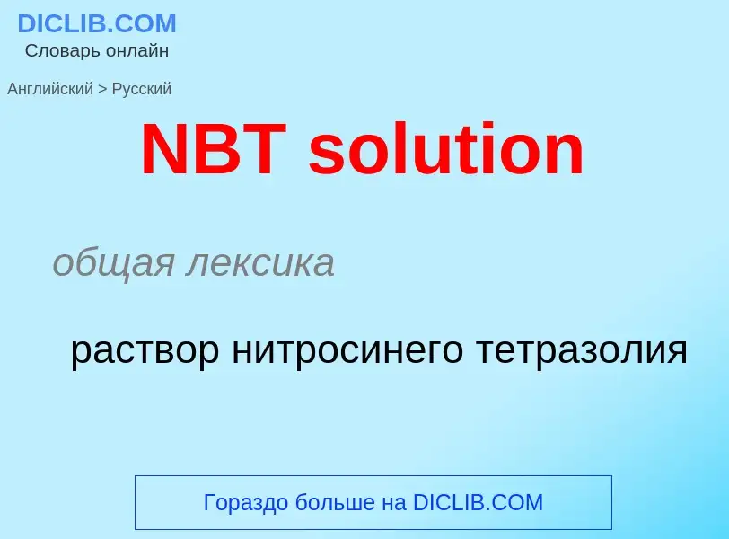 Vertaling van &#39NBT solution&#39 naar Russisch