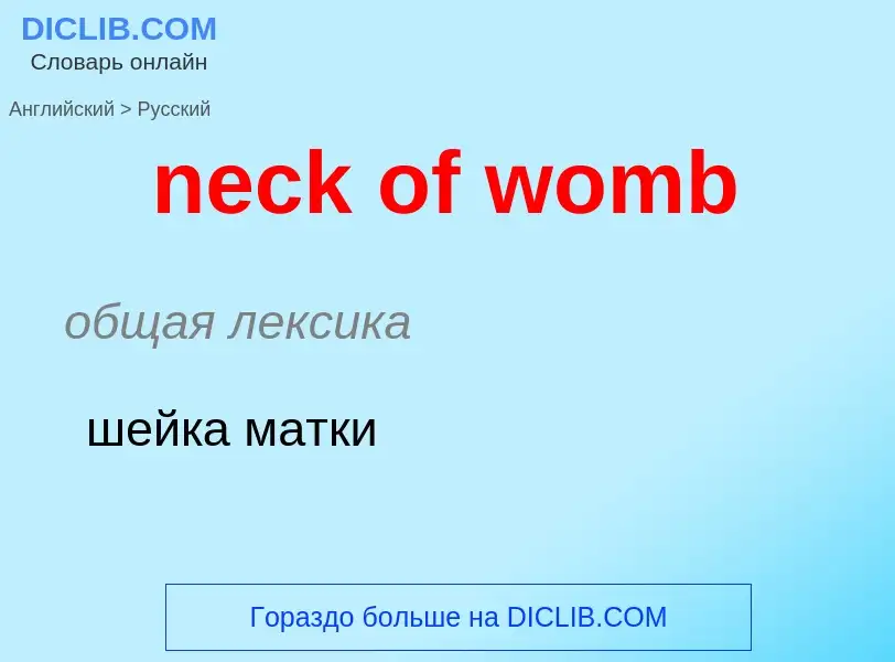 Как переводится neck of womb на Русский язык