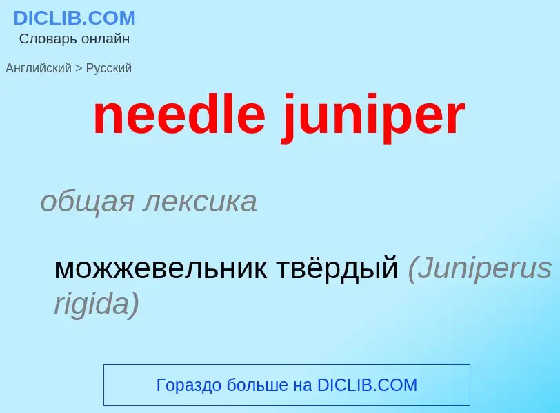 Как переводится needle juniper на Русский язык