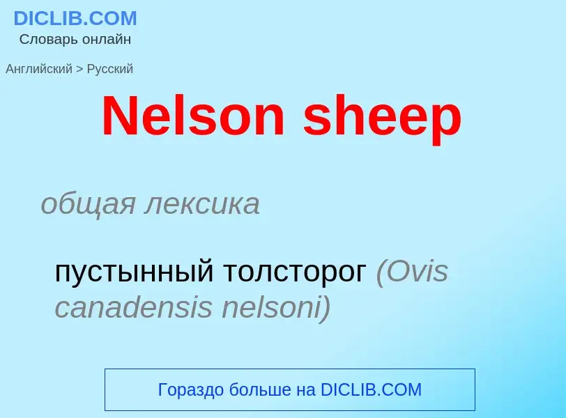 ¿Cómo se dice Nelson sheep en Ruso? Traducción de &#39Nelson sheep&#39 al Ruso