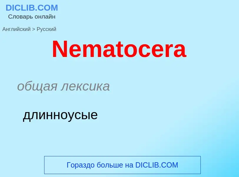 ¿Cómo se dice Nematocera en Ruso? Traducción de &#39Nematocera&#39 al Ruso