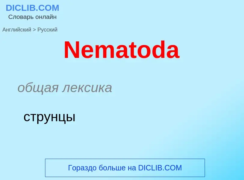 ¿Cómo se dice Nematoda en Ruso? Traducción de &#39Nematoda&#39 al Ruso