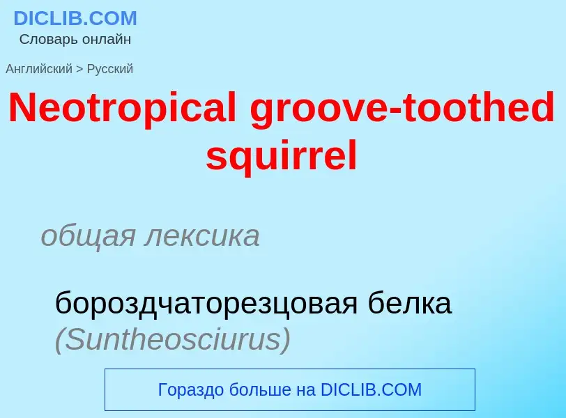 ¿Cómo se dice Neotropical groove-toothed squirrel en Ruso? Traducción de &#39Neotropical groove-toot