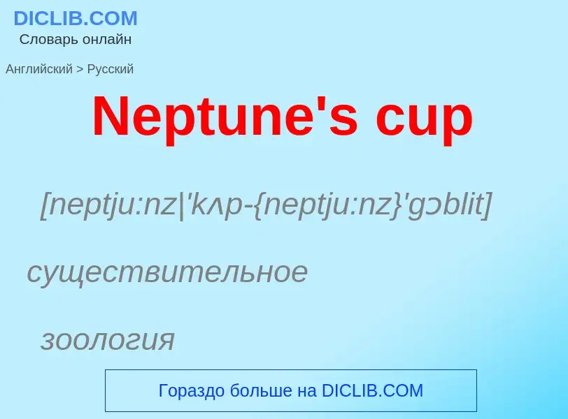 ¿Cómo se dice Neptune's cup en Ruso? Traducción de &#39Neptune's cup&#39 al Ruso