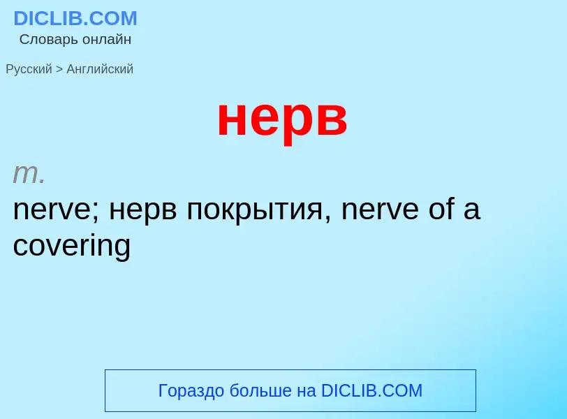 Как переводится нерв на Английский язык