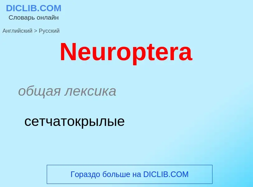 ¿Cómo se dice Neuroptera en Ruso? Traducción de &#39Neuroptera&#39 al Ruso