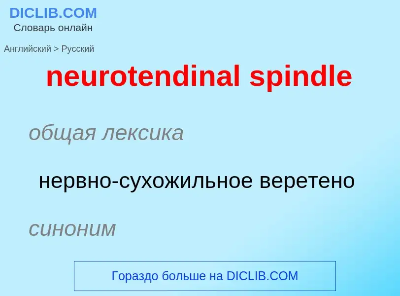 Как переводится neurotendinal spindle на Русский язык