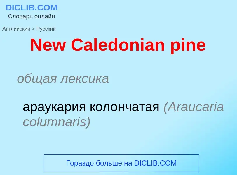 ¿Cómo se dice New Caledonian pine en Ruso? Traducción de &#39New Caledonian pine&#39 al Ruso