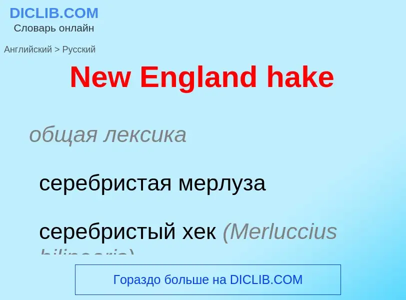 ¿Cómo se dice New England hake en Ruso? Traducción de &#39New England hake&#39 al Ruso