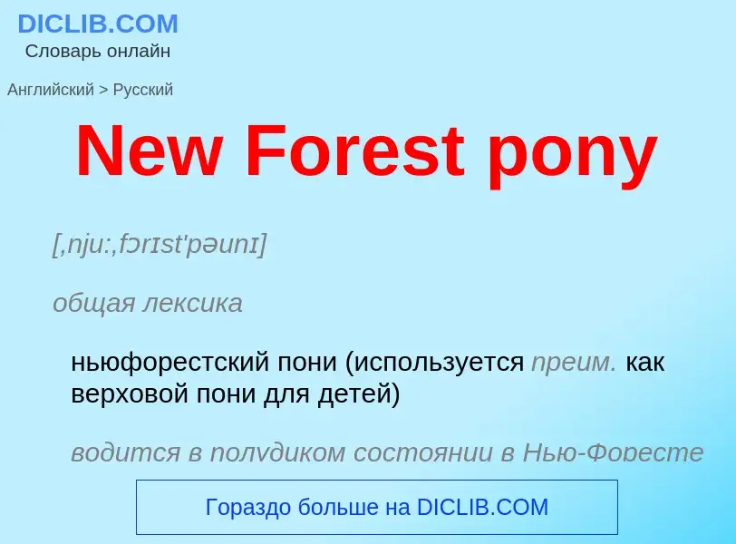 ¿Cómo se dice New Forest pony en Ruso? Traducción de &#39New Forest pony&#39 al Ruso