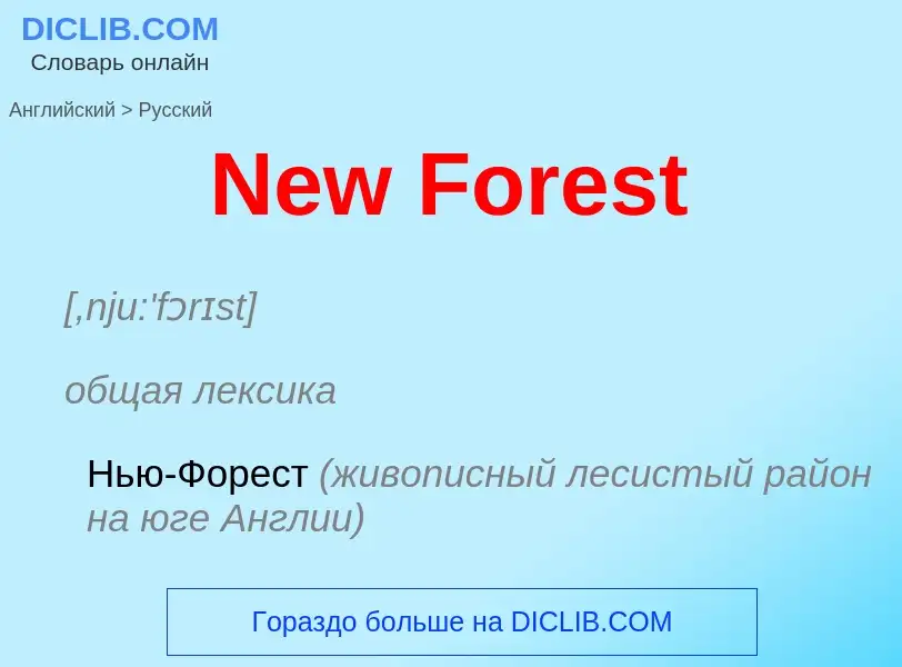 ¿Cómo se dice New Forest en Ruso? Traducción de &#39New Forest&#39 al Ruso