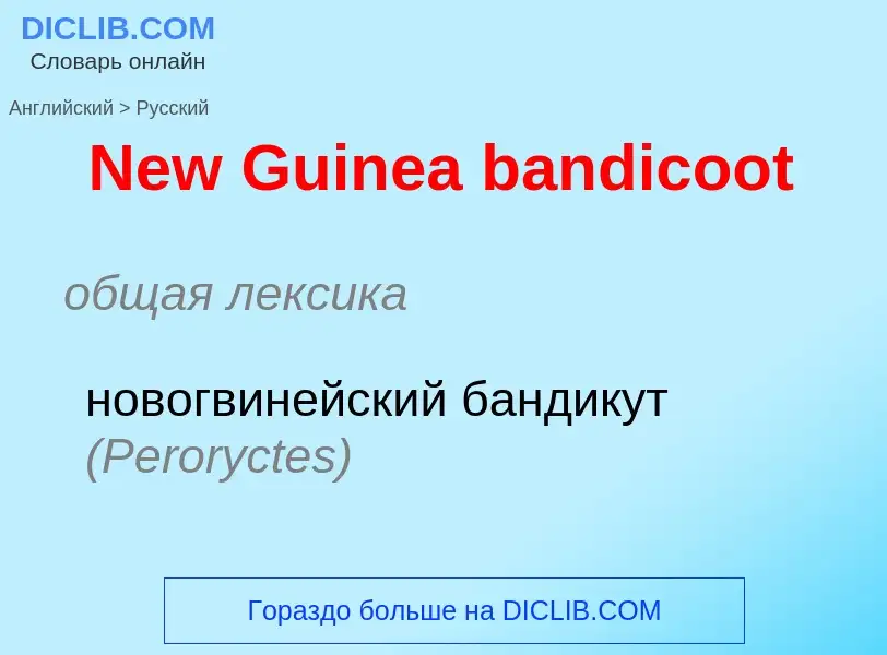 ¿Cómo se dice New Guinea bandicoot en Ruso? Traducción de &#39New Guinea bandicoot&#39 al Ruso