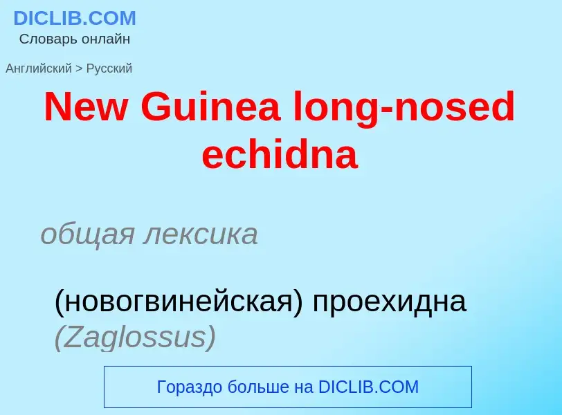 ¿Cómo se dice New Guinea long-nosed echidna en Ruso? Traducción de &#39New Guinea long-nosed echidna