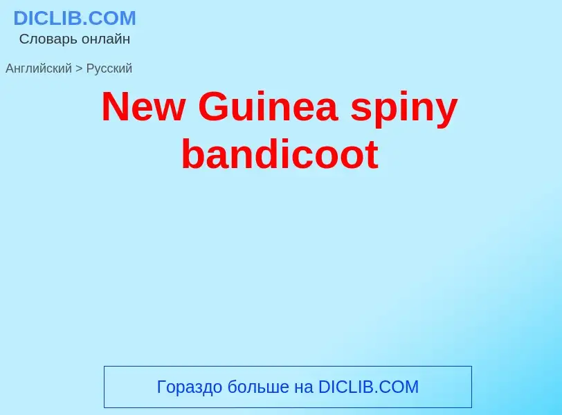 ¿Cómo se dice New Guinea spiny bandicoot en Ruso? Traducción de &#39New Guinea spiny bandicoot&#39 a