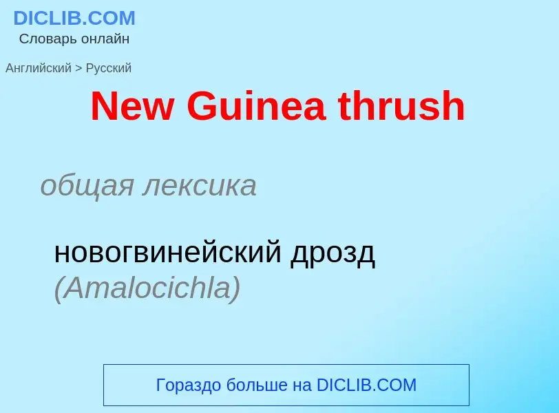 ¿Cómo se dice New Guinea thrush en Ruso? Traducción de &#39New Guinea thrush&#39 al Ruso