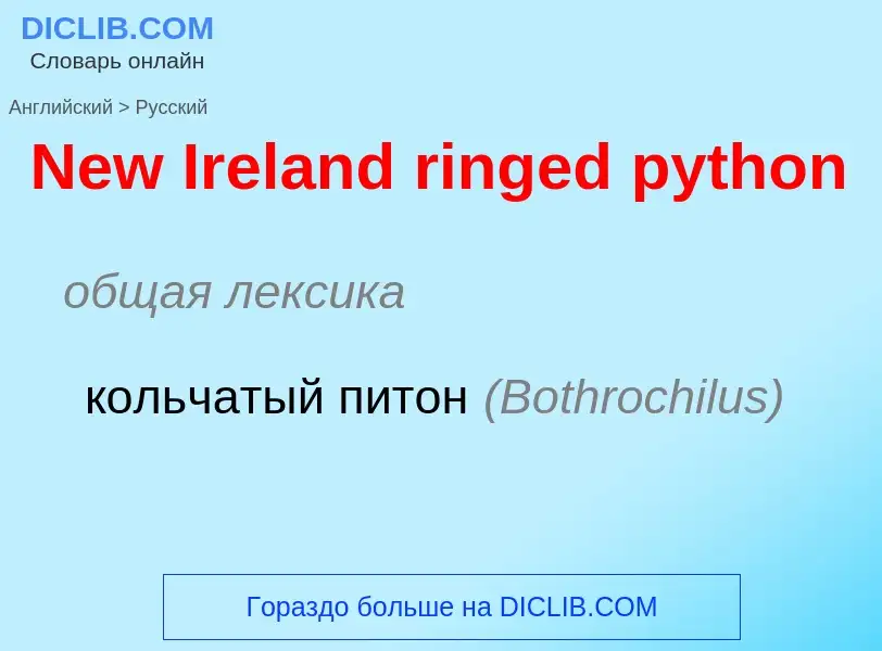 ¿Cómo se dice New Ireland ringed python en Ruso? Traducción de &#39New Ireland ringed python&#39 al 