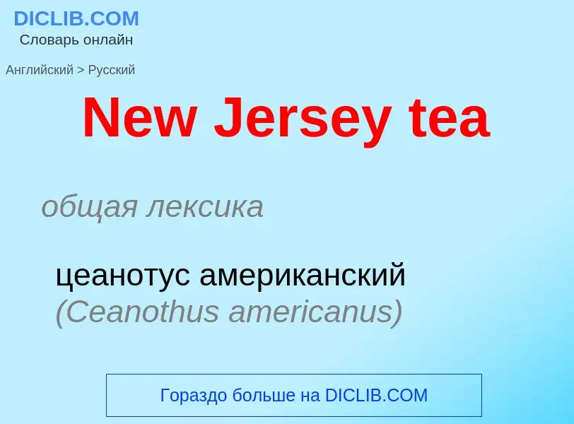 ¿Cómo se dice New Jersey tea en Ruso? Traducción de &#39New Jersey tea&#39 al Ruso