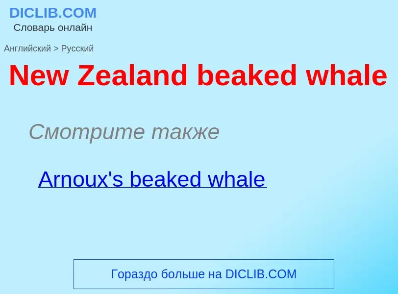 Übersetzung von &#39New Zealand beaked whale&#39 in Russisch