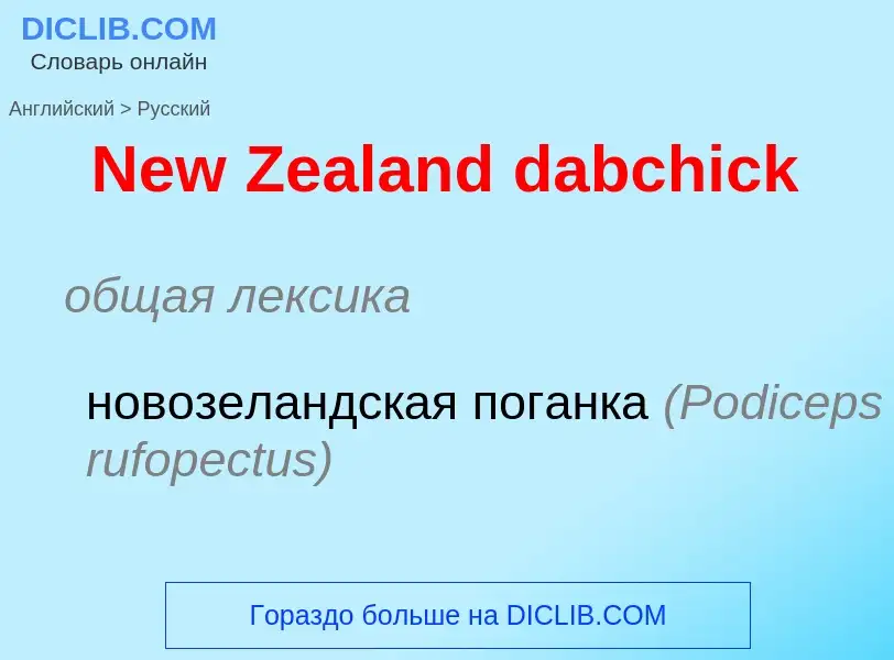 Übersetzung von &#39New Zealand dabchick&#39 in Russisch