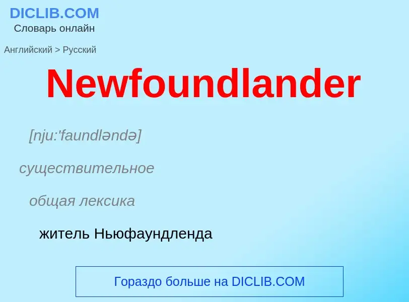 Übersetzung von &#39Newfoundlander&#39 in Russisch