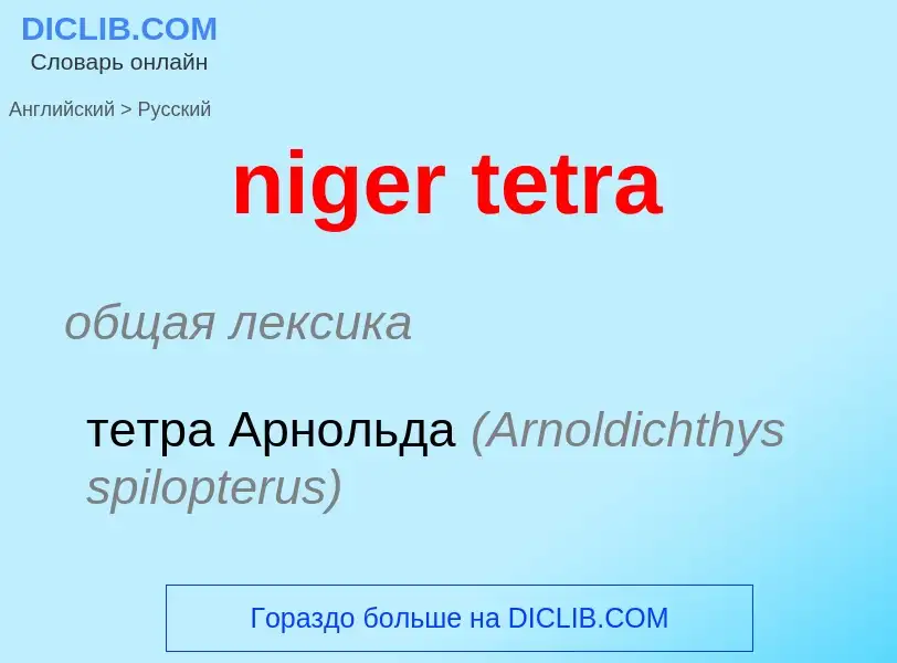 Как переводится niger tetra на Русский язык