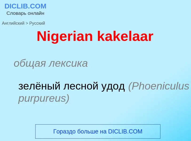 Как переводится Nigerian kakelaar на Русский язык