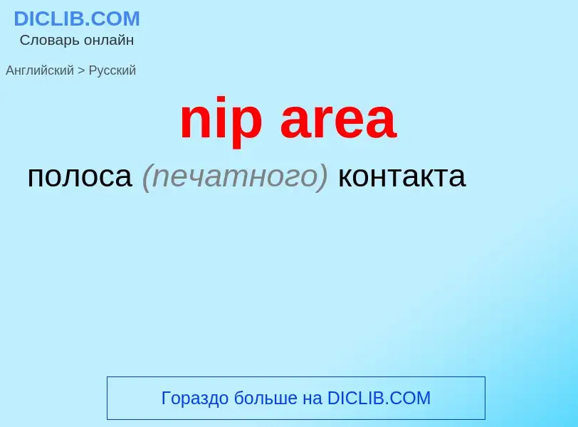 Как переводится nip area на Русский язык