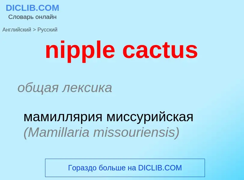 ¿Cómo se dice nipple cactus en Ruso? Traducción de &#39nipple cactus&#39 al Ruso