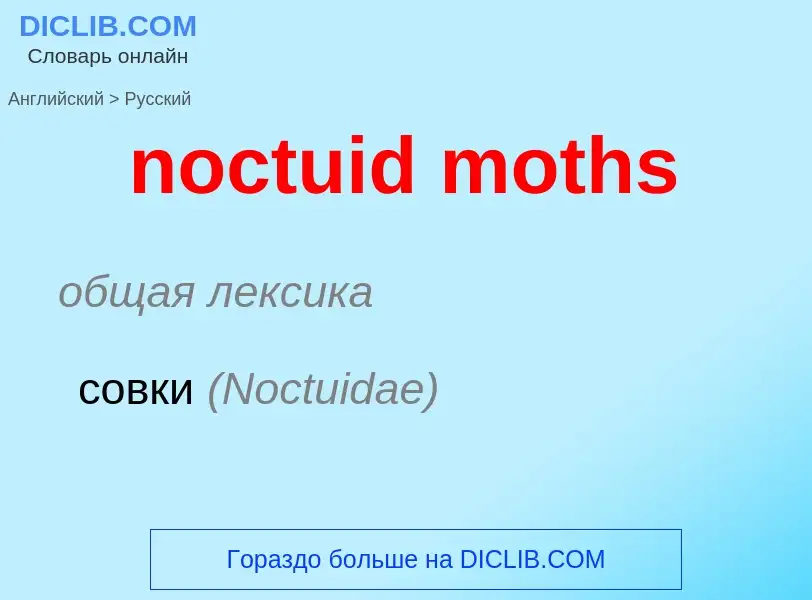 Como se diz noctuid moths em Russo? Tradução de &#39noctuid moths&#39 em Russo