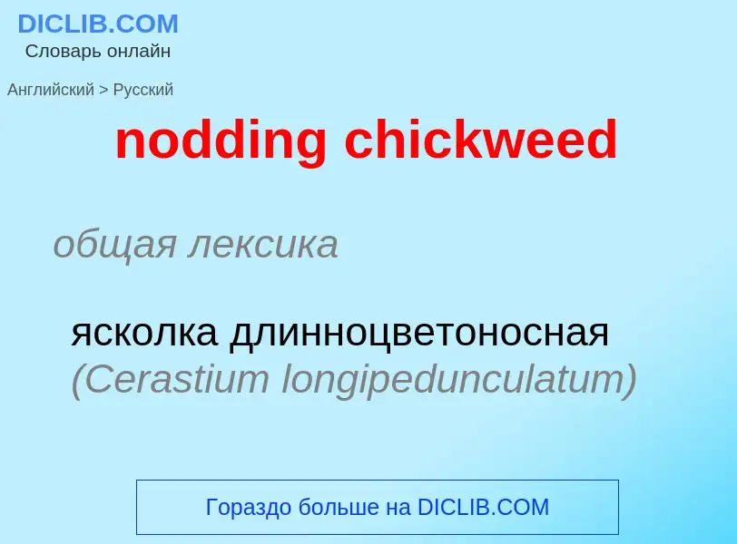 Vertaling van &#39nodding chickweed&#39 naar Russisch