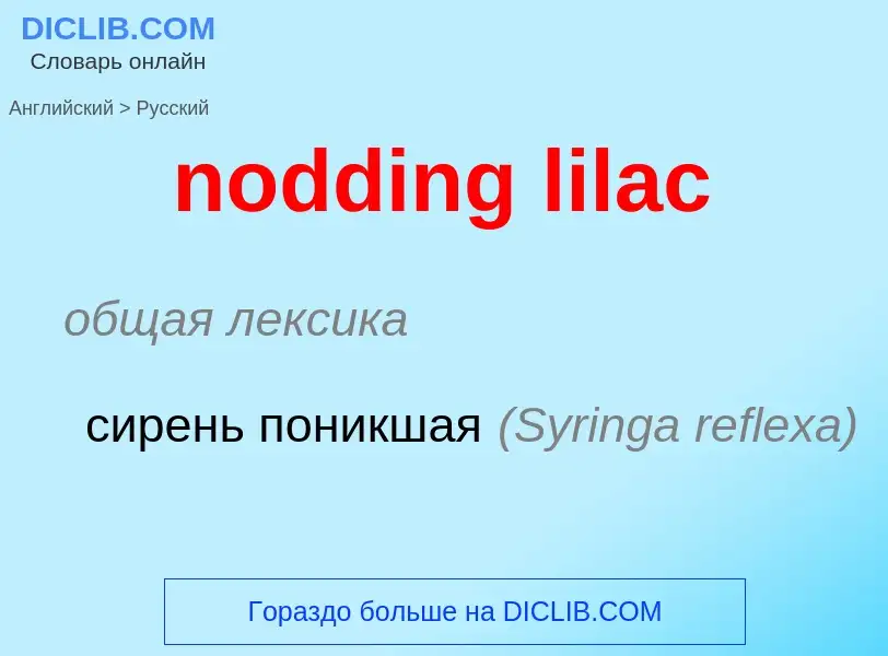 Como se diz nodding lilac em Russo? Tradução de &#39nodding lilac&#39 em Russo