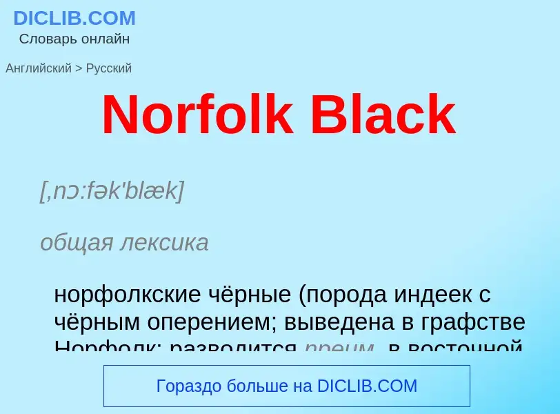 ¿Cómo se dice Norfolk Black en Ruso? Traducción de &#39Norfolk Black&#39 al Ruso