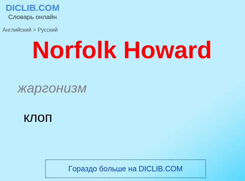 ¿Cómo se dice Norfolk Howard en Ruso? Traducción de &#39Norfolk Howard&#39 al Ruso