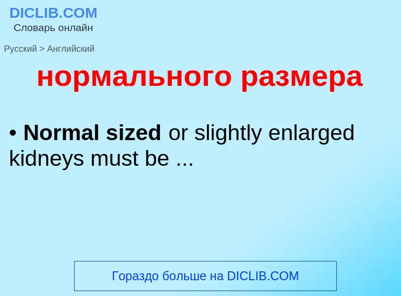 Como se diz нормального размера em Inglês? Tradução de &#39нормального размера&#39 em Inglês