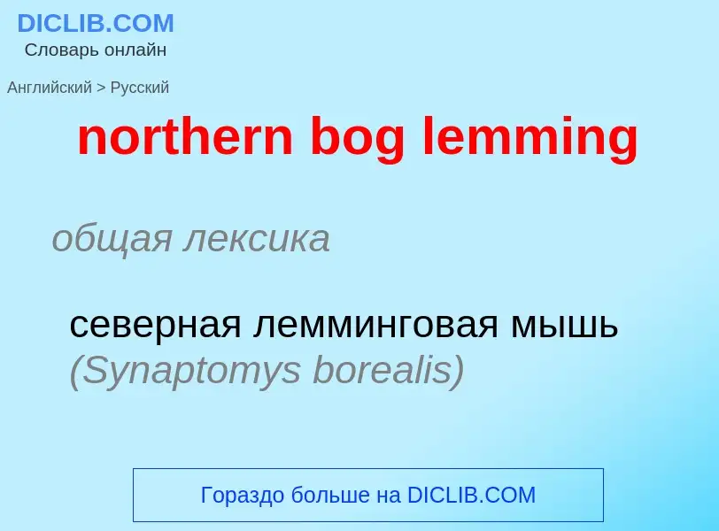 Как переводится northern bog lemming на Русский язык