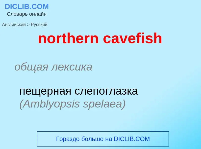 Μετάφραση του &#39northern cavefish&#39 σε Ρωσικά