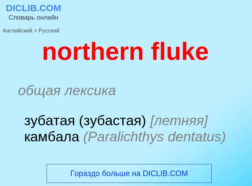 Traduzione di &#39northern fluke&#39 in Russo