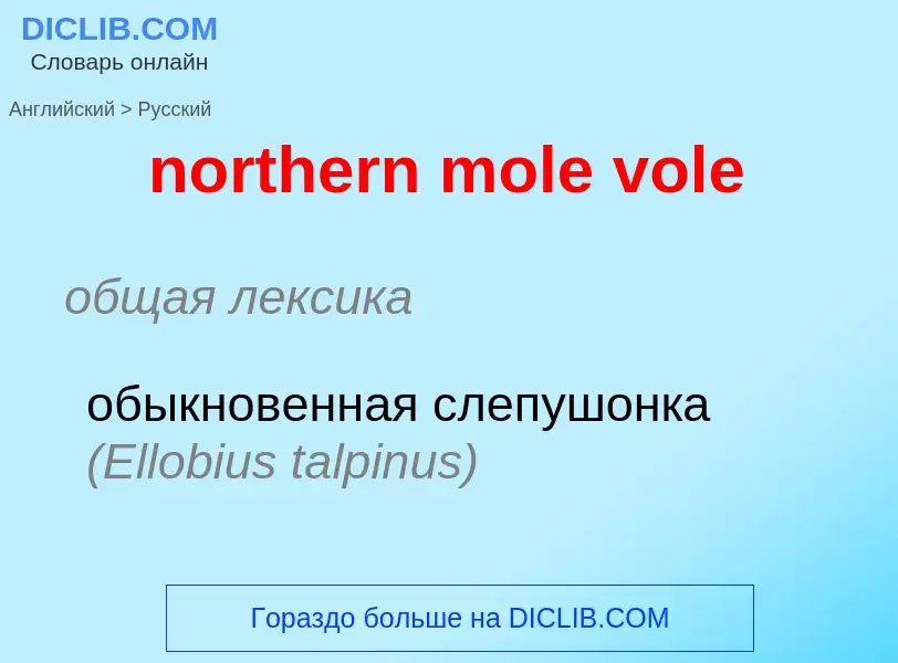 ¿Cómo se dice northern mole vole en Ruso? Traducción de &#39northern mole vole&#39 al Ruso